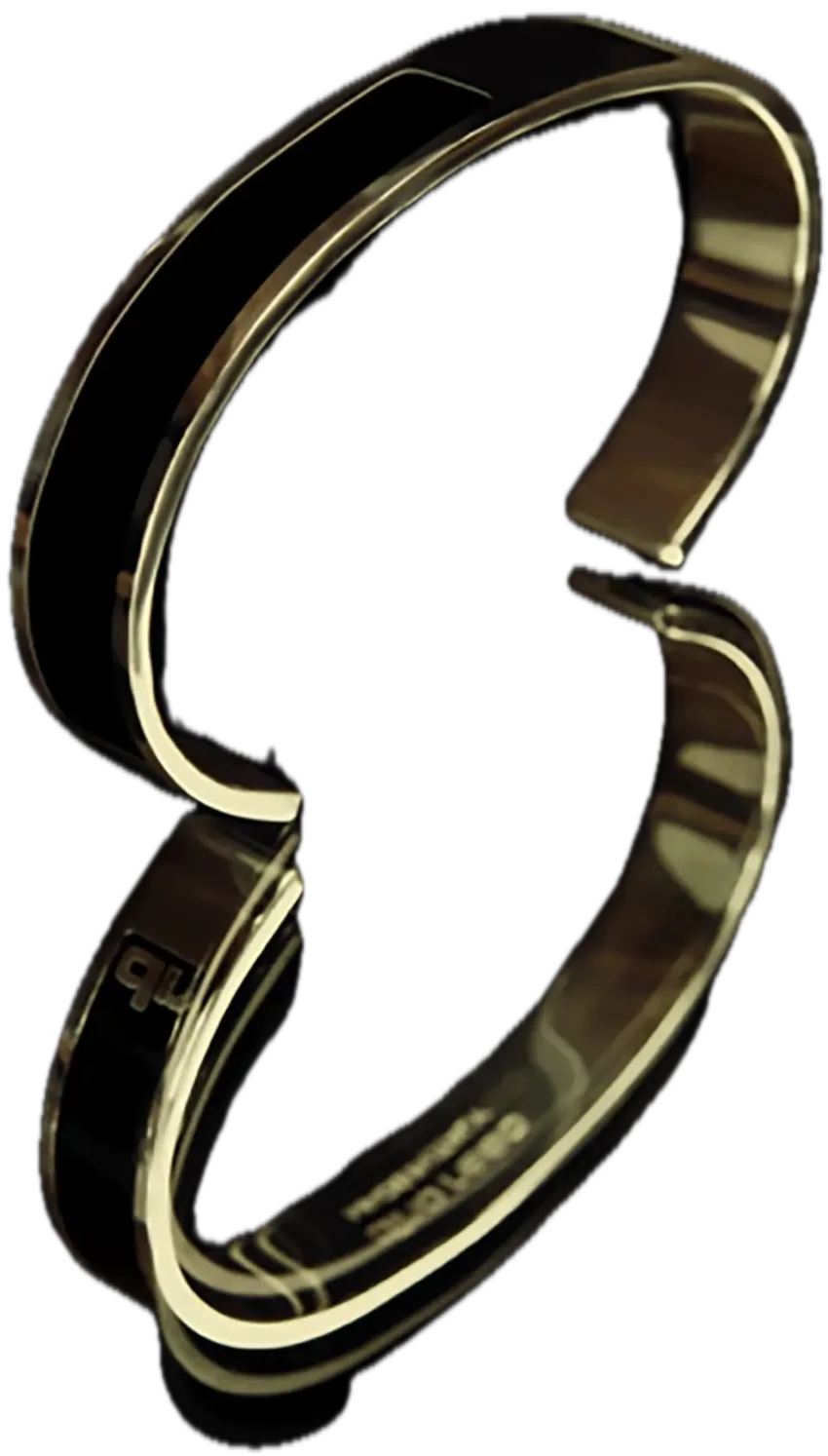 dino raso bangle